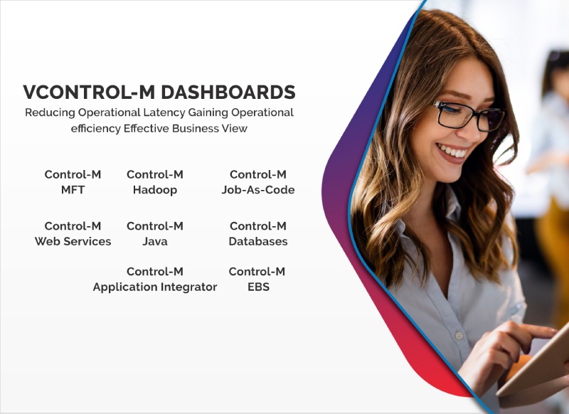 Business Challenge vControl-M Business Challenge